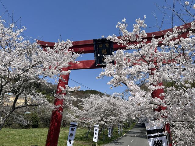 ̍͌łAR̕1TԂقǂꍞ_R