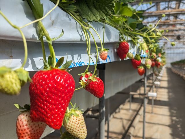 �������������_��o�_��