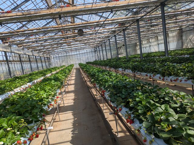 ������������Ă܂�_��o�_��