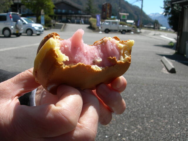 �g��H�|�̗�