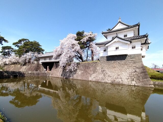 �C���E����蒆�m���]��_�V���c��