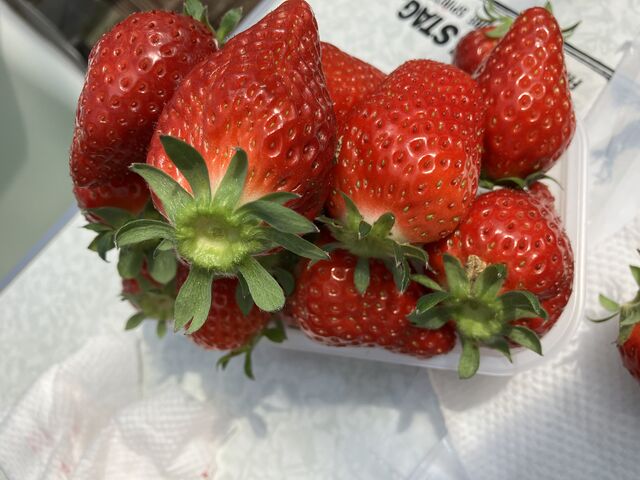 �傫�Ȃ�����_���ڂ�������