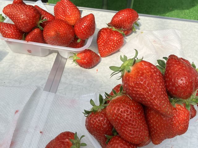 ��������̃C�`�S_���ڂ�������