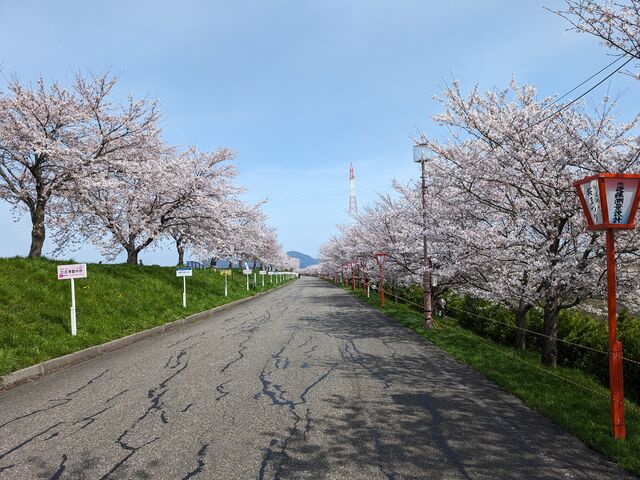 �����ȍ�_��͒Õ���������