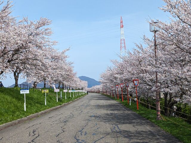 �����ȍ�_��͒Õ���������