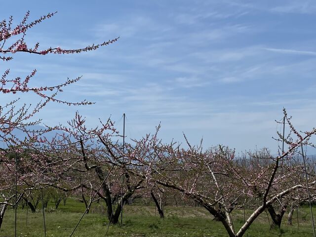 ���|�������ӂ̌i�F�B_�H�H�[���|����