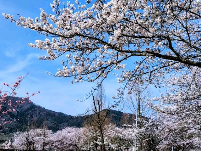 上堰潟公園】アクセス・営業時間・料金情報 - じゃらんnet