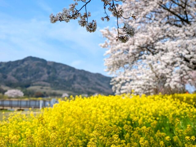 上堰潟公園】アクセス・営業時間・料金情報 - じゃらんnet