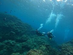 Chel����̕��������ւ̓��e�ʐ^1