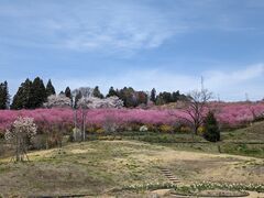 yu�]cyan����̒��V���K�[�f���Y�ւ̓��e�ʐ^1