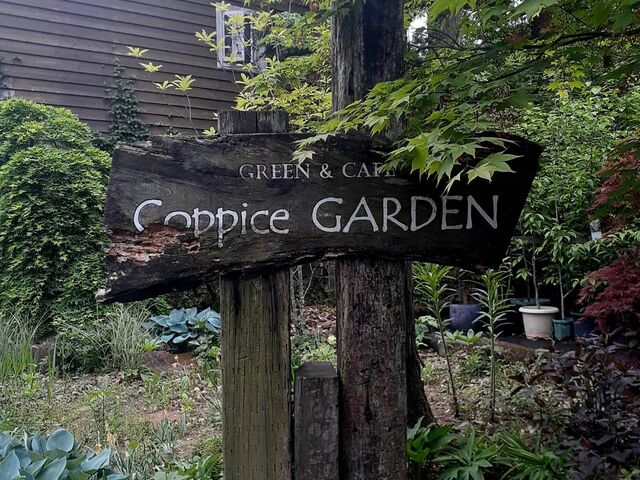 �R�X�s�K�[�f��_Coppice GARDEN