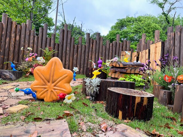 �{���T�[�r�X�G���A�i������j