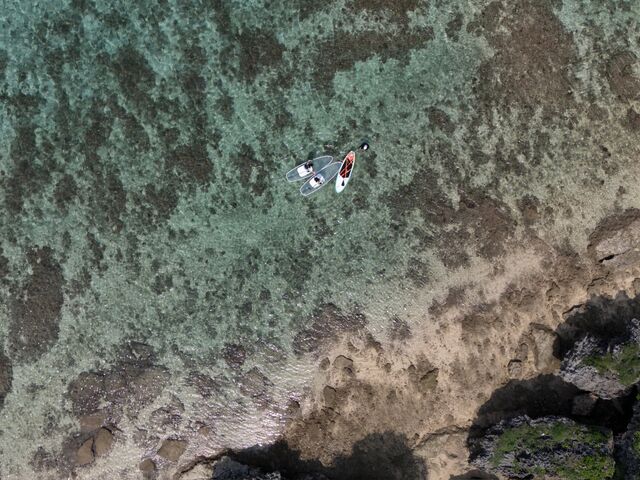 �h���[���̎ʐ^�ł��I_���݂����