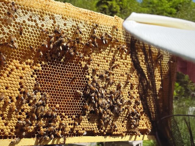 �S�����撣���ē����Ă�̂��悭������܂��@_berich�{�I��@�O�g�R