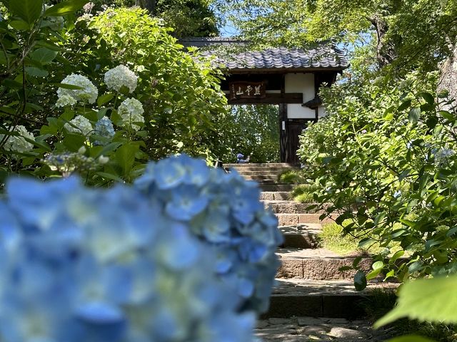 �ƂĂ��Y��ł���!!_������