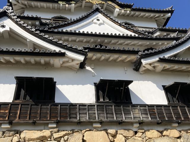 �F����_�Ƃ悳��t�@�[����������