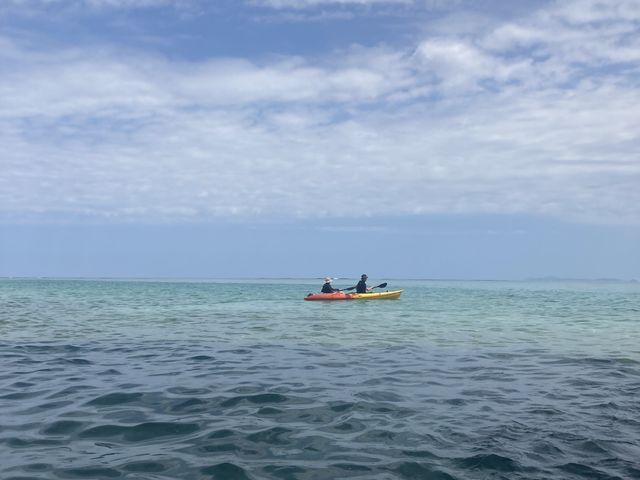 �ǂ��܂ł������ʂ����C�B
������܂����`�I_����}�����A�N�e�B�r�e�B�p�[�N������