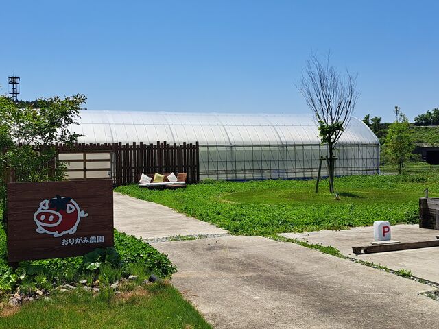 �O��_���肪�ݔ_��