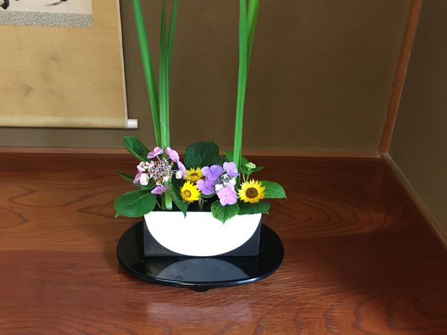 ����_�����R�c��