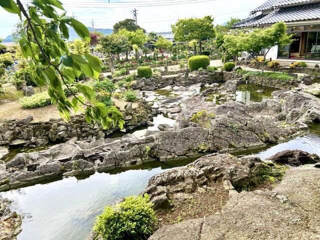 ΂񂳂̑卪{w̓eʐ^5