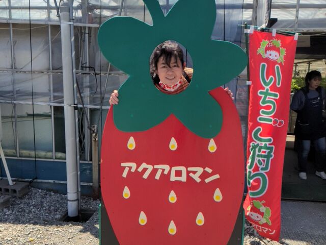 ��o���p�l��_�A�N�A���}�� ���쉀