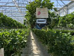 �T���񂳂�̈��ЗY�_���ւ̓��e�ʐ^1