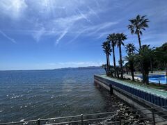 ݂݂񂳂̊ڎRTS[Czeւ̓eʐ^1