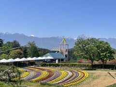 �u���[���C�I������̓씪���x�Ԃ̐X�����ւ̓��e�ʐ^1