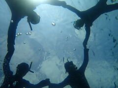 ۂ̃IIΊ_GRcA[ւ̓eʐ^1