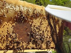 ܂berich{I@OgRւ̓eʐ^1