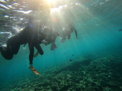 ̃}T[rXނʁ[ւ̓eʐ^1