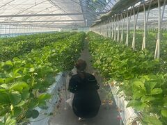 ɂӂ炳̋MʃK[fւ̓eʐ^1