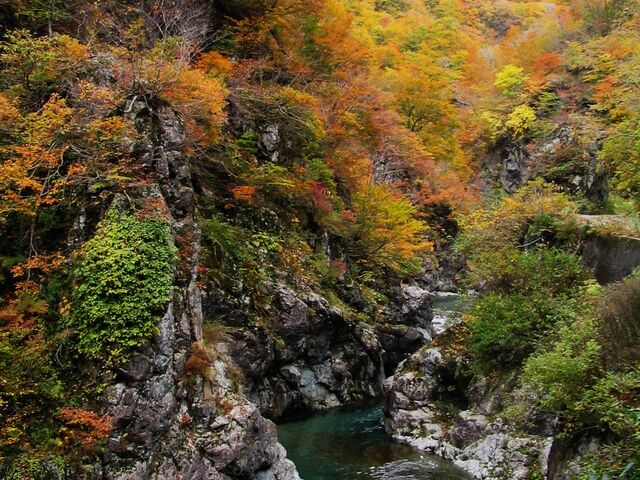 `񂳂̎O_ႭȂ΂̓eʐ^1