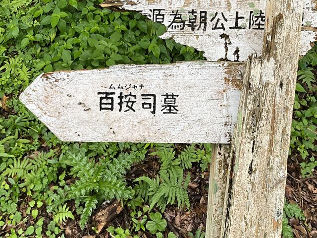 Shotǎג㗤LO̓eʐ^1