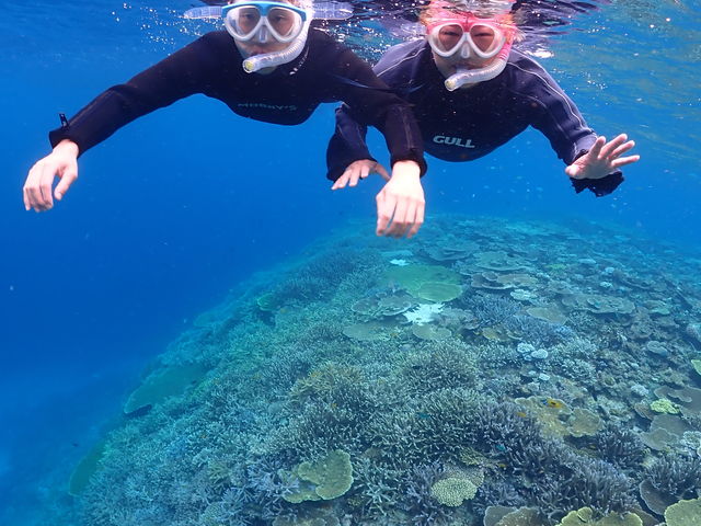 GoPro�ŃX�^�b�t���񂪎B���Ă���܂���_���d�����}�����n�[�g�{�Ó�