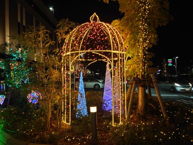 LLs@LECTiNgj_LECTiNgj