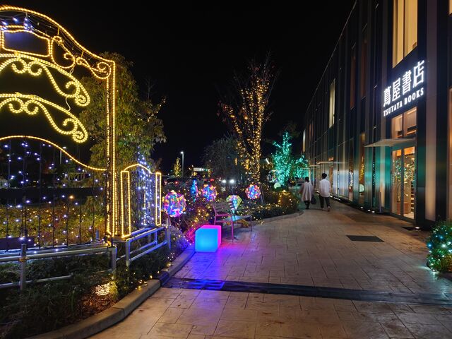 LLs@LECTiNgj_LECTiNgj