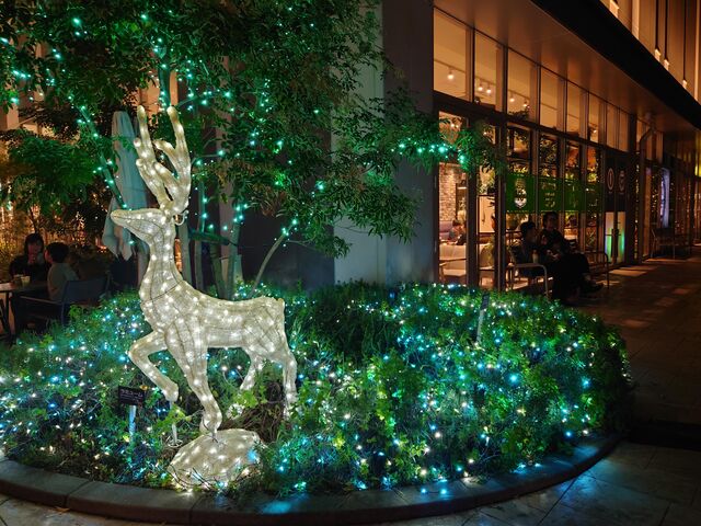 LLs@LECTiNgj_LECTiNgj