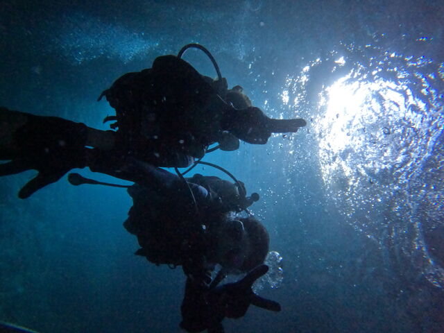 �̓��A_����}�����T�[�r�X��