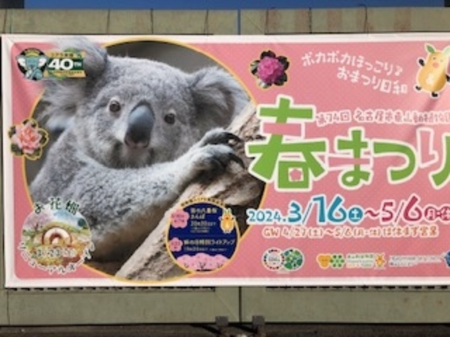 春まつり期間_東山動植物園