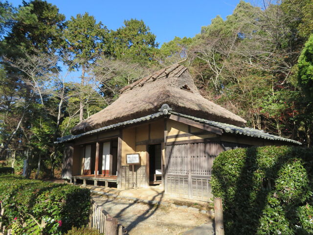 ���c���j����_���c���j����