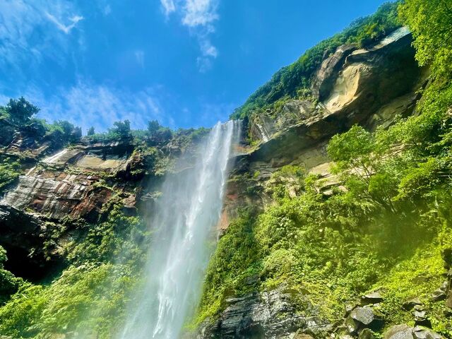 �s�i�C�T�[���̑�A�{���ɋC�����ǂ������ł��I_���\���J�k�[�c�A�[�̂�т�Ղ�Ղ�u�̂�Ղ�v