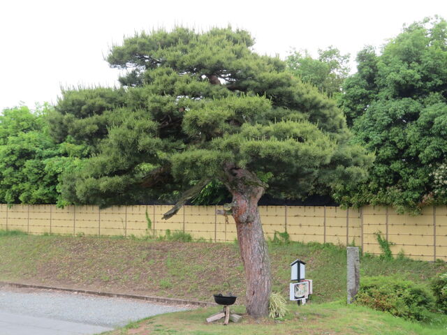 L̓|iω˂̒nj̓eʐ^3