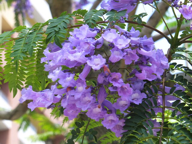 �W���J�����__�W���J�����_