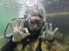 Ԍ̗tR_CrOT[rXւ̓eʐ^1