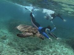 񂳂̃RY~bNA[Xւ̓eʐ^1