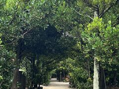 Shota̔̃tNM؂ւ̓eʐ^1