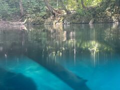 ̂񂿂񂳂̃BgJ̓]ւ̓eʐ^1