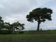 L̓|iω˂̒nj̓eʐ^1