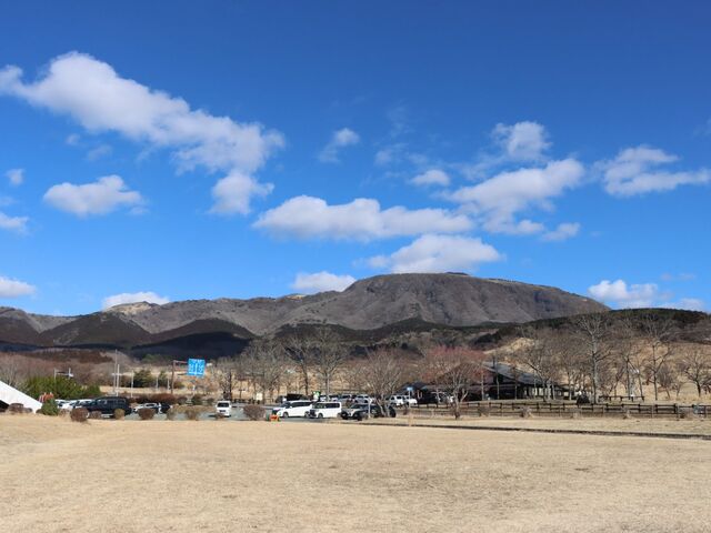 �F�{�����h�S�쏬�����@���̖{���X�g�n�E�X_���̖{���X�g�n�E�X